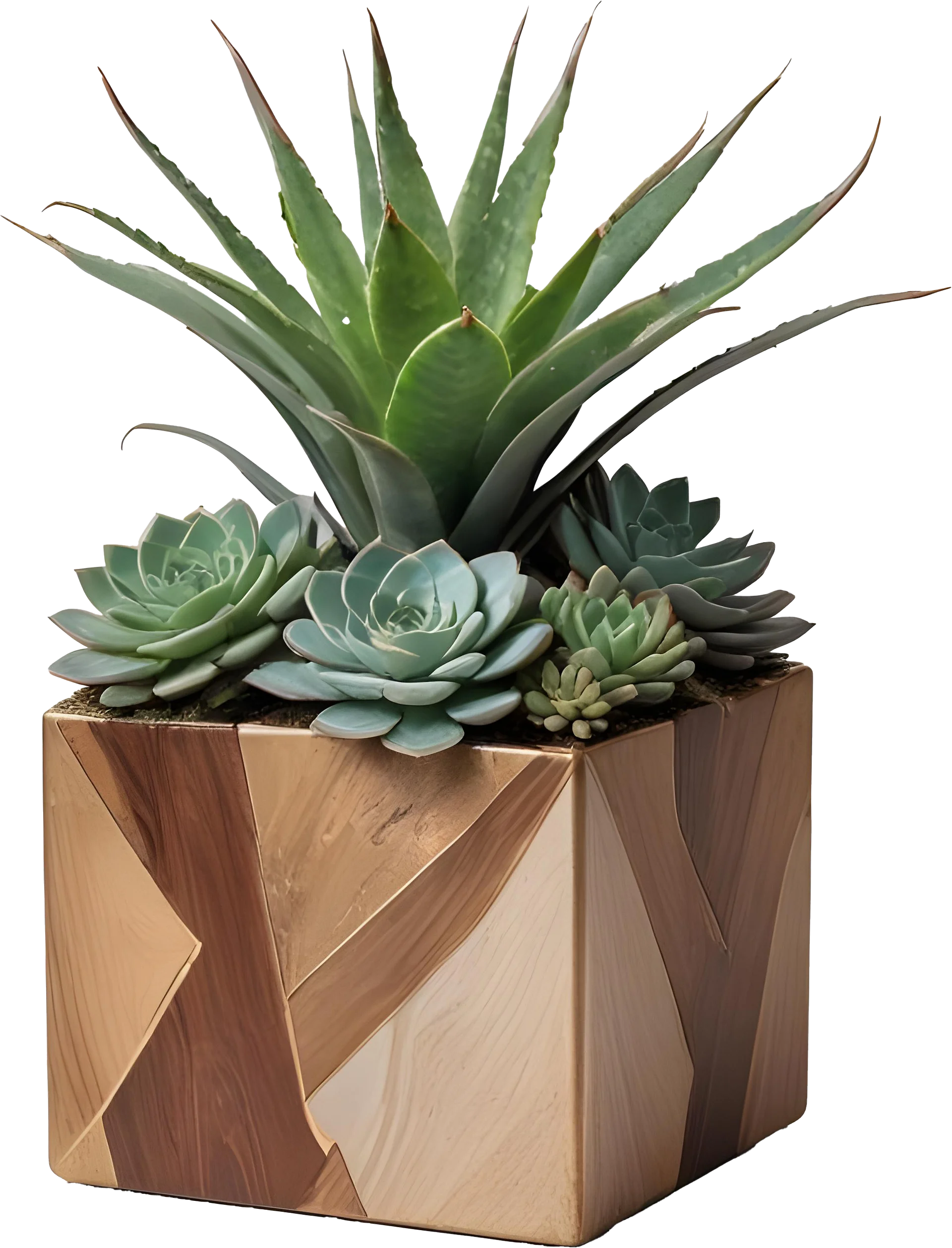Earthly Symphony – Cube Succulent Vase PNG product image (1)