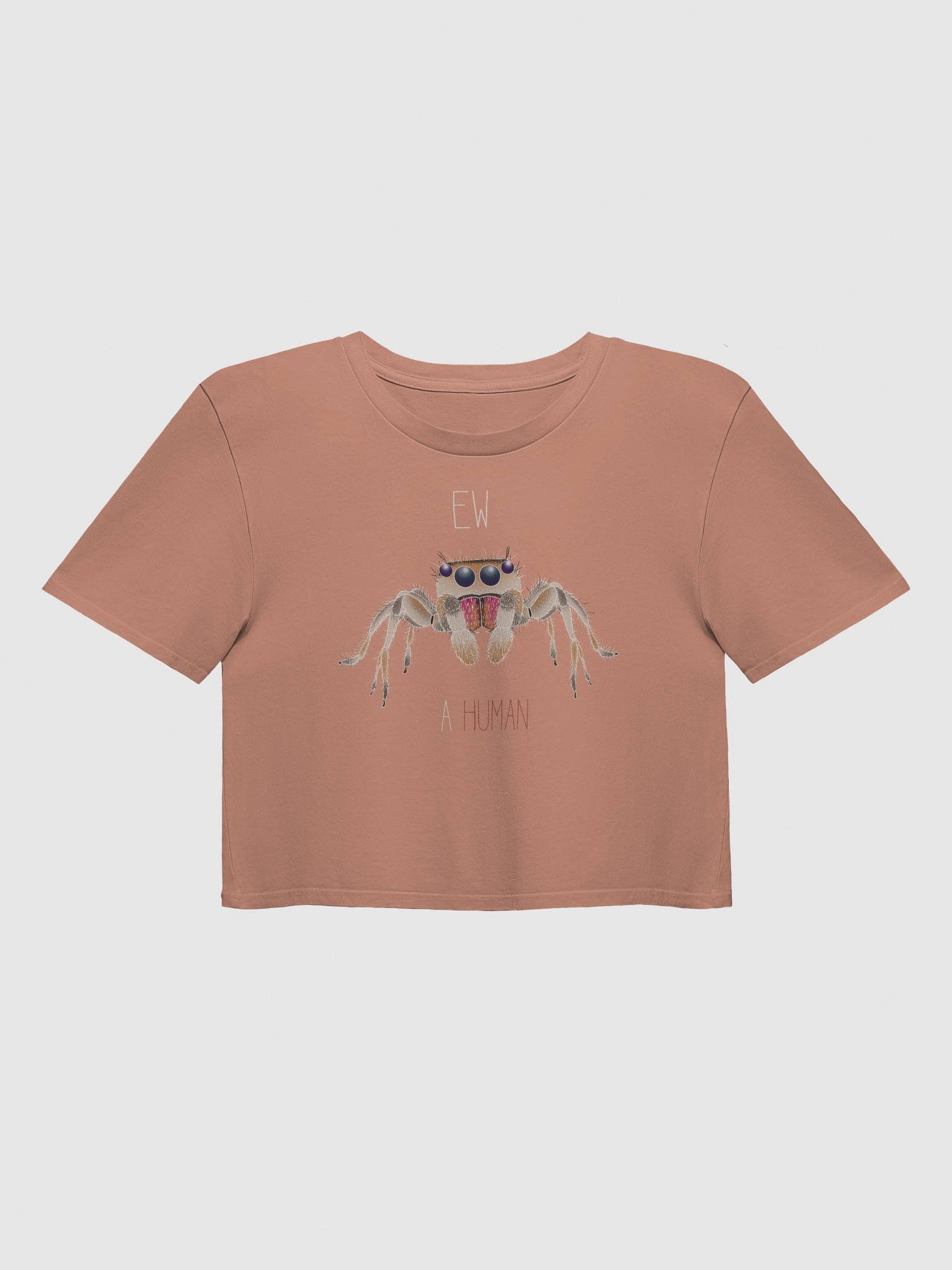 EW A HUMAN Crop Tee product image (9)