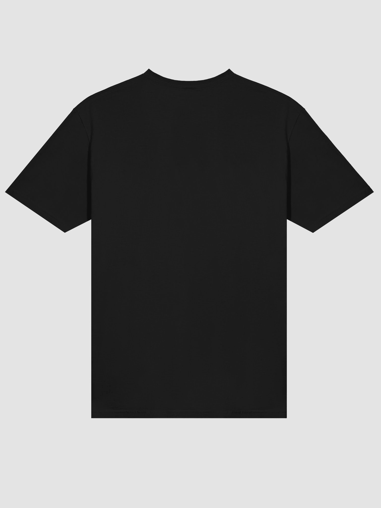 LTN Softstyle Tee | Unisex product image (4)