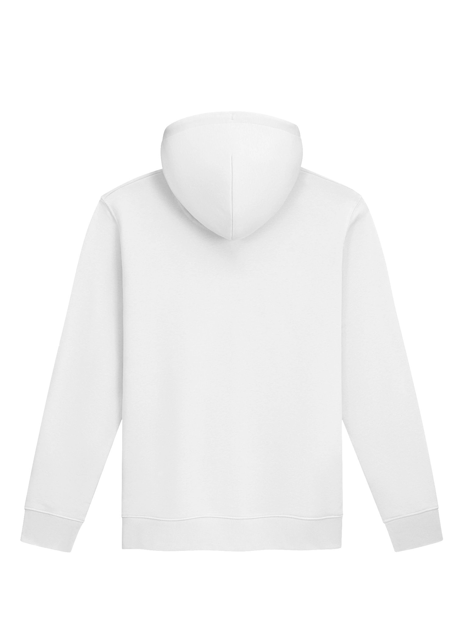 Large Cap Records - Growth Journey Hoodie product image (2)