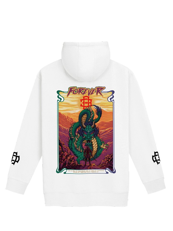 Will of a Warrior Printed Hoodie product image (6)