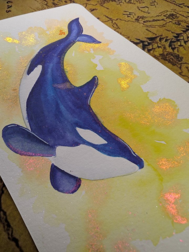 Orca with Yellow and Orange product image (2)