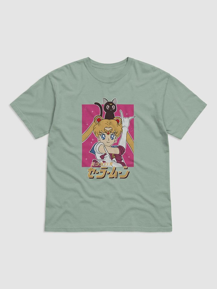 Sailor Moon and Luna Dynamic Duo product image (5)