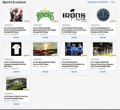 Shout out to our wonderful in-kind donors for the Sports & Leisure category of our online silent auction! Bidding is live NOW...