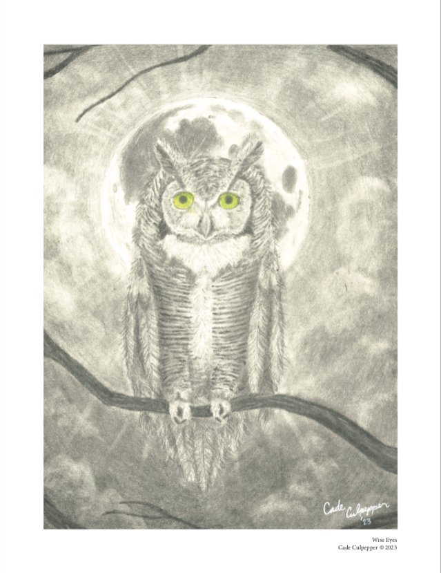 “Wise Eyes” Print product image (1)