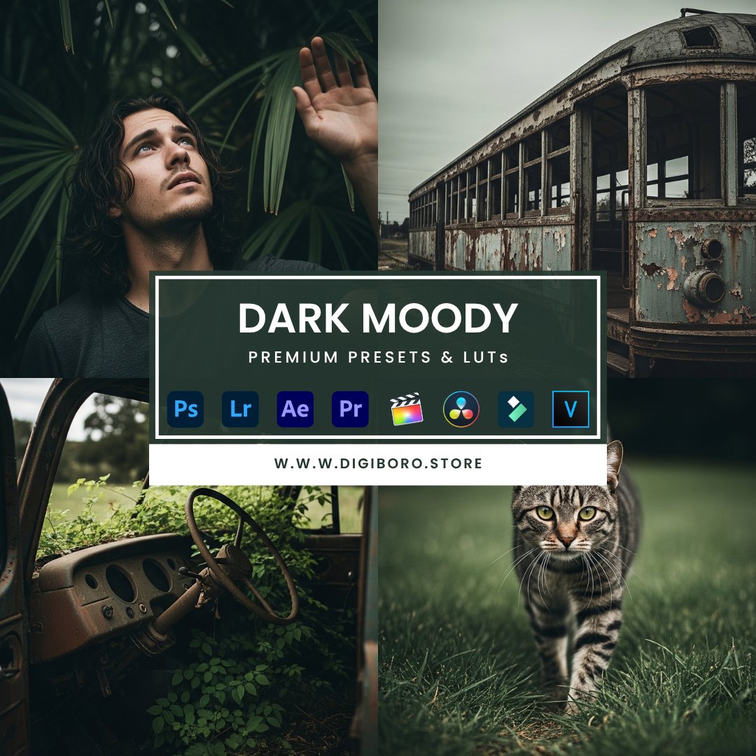 dark moody product image (1)