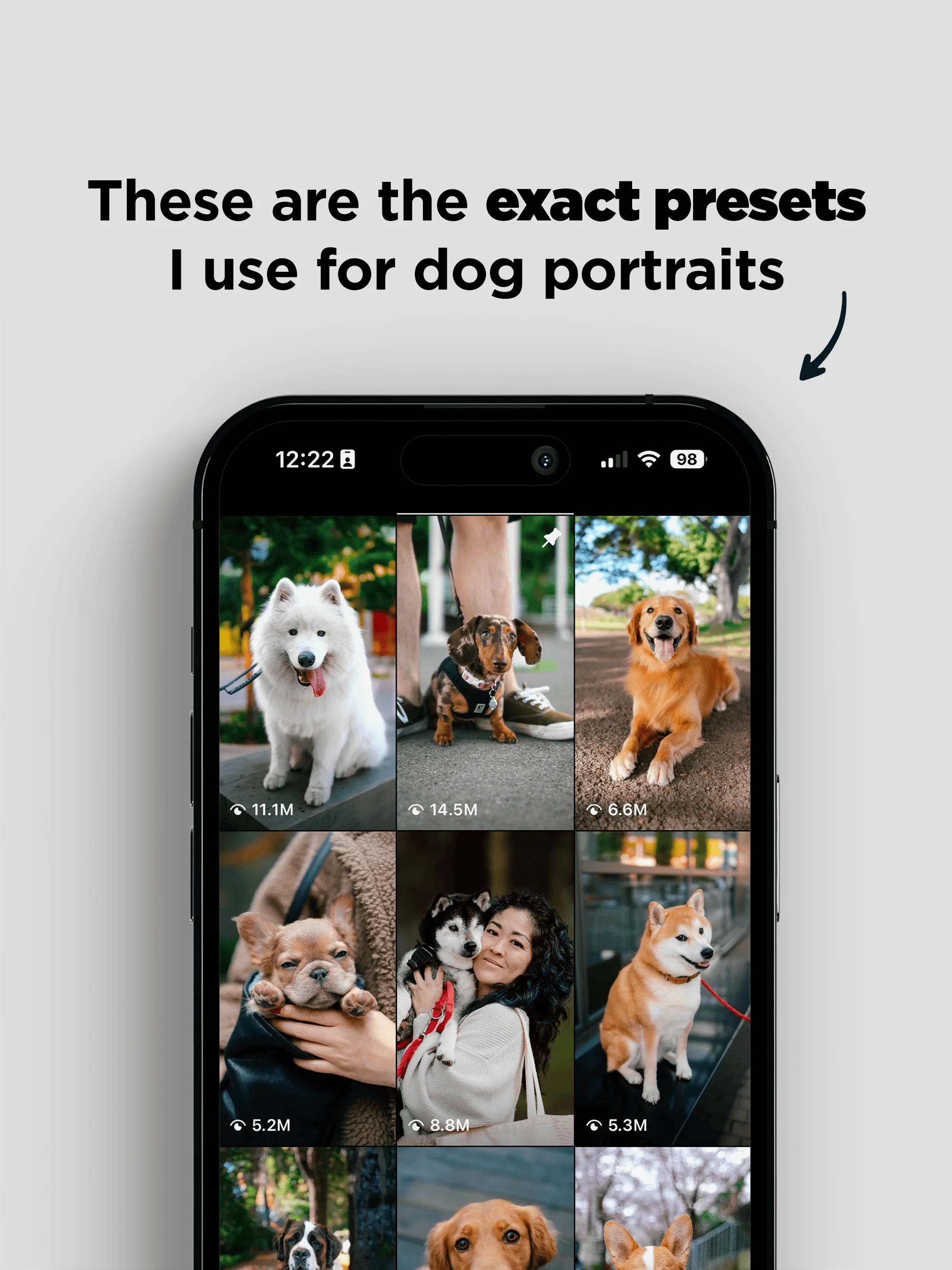 Pawtrait Presets product image (2)