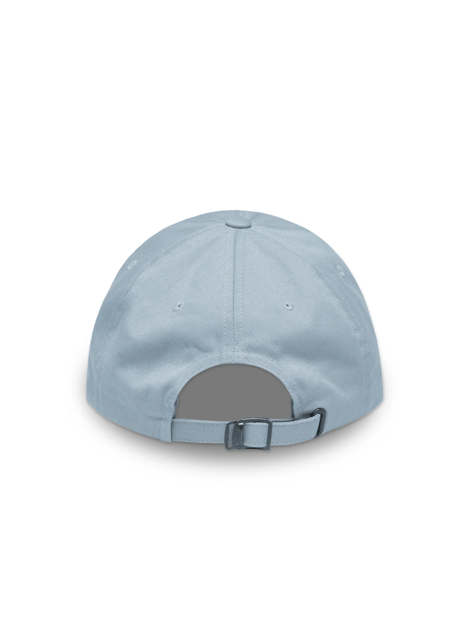 🪳"Gregor On The Mind" Dad Cap product image (3)