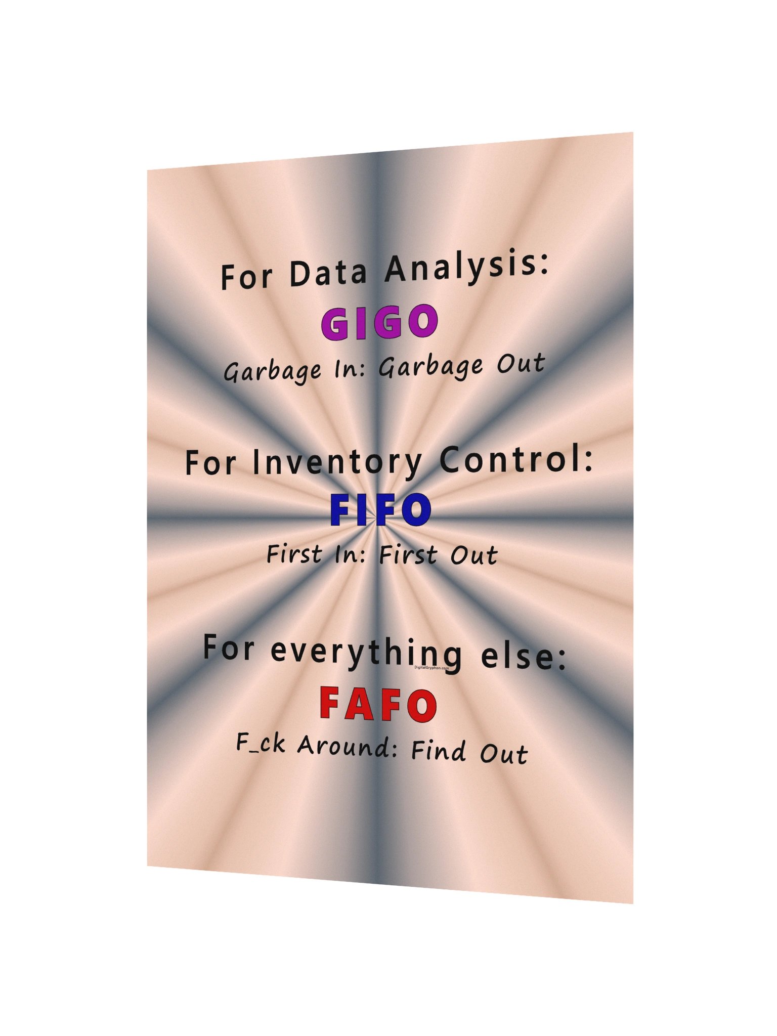 GIGO FIFO FAFO Poster product image (4)