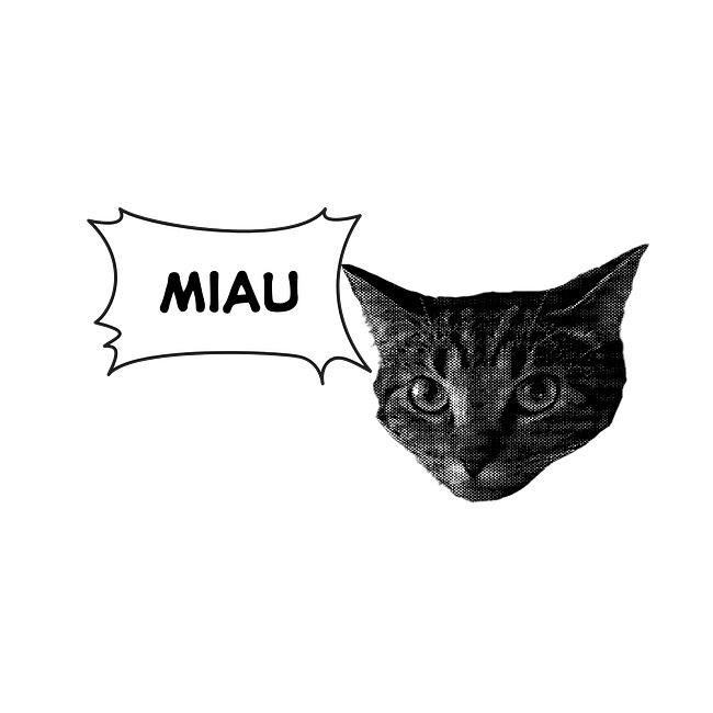 Miau 