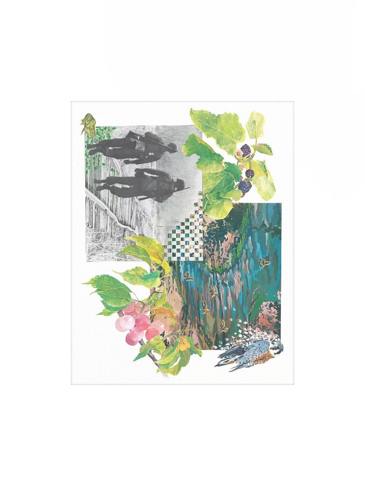 Nature's Cycles (horizontal) product image (1)