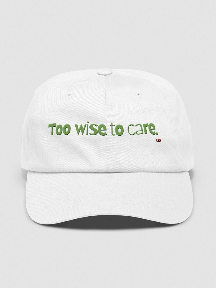 Cat Wisdom Embroidered Dad Hat product image (33)