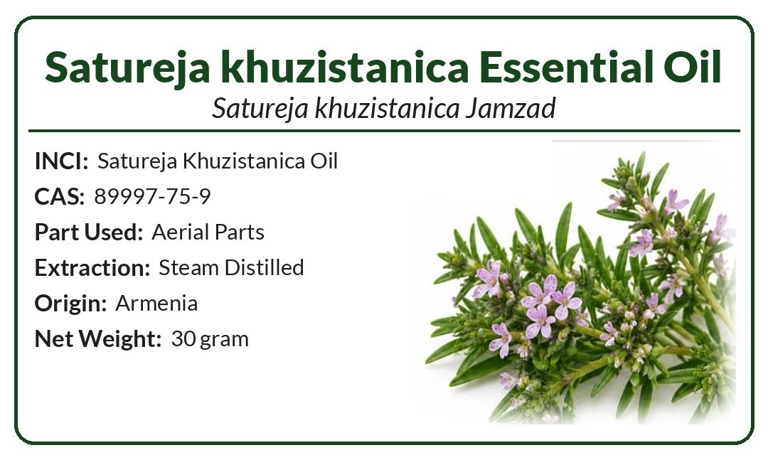 Satureja khuzistanica Jamzad Essential Oil product image (2)