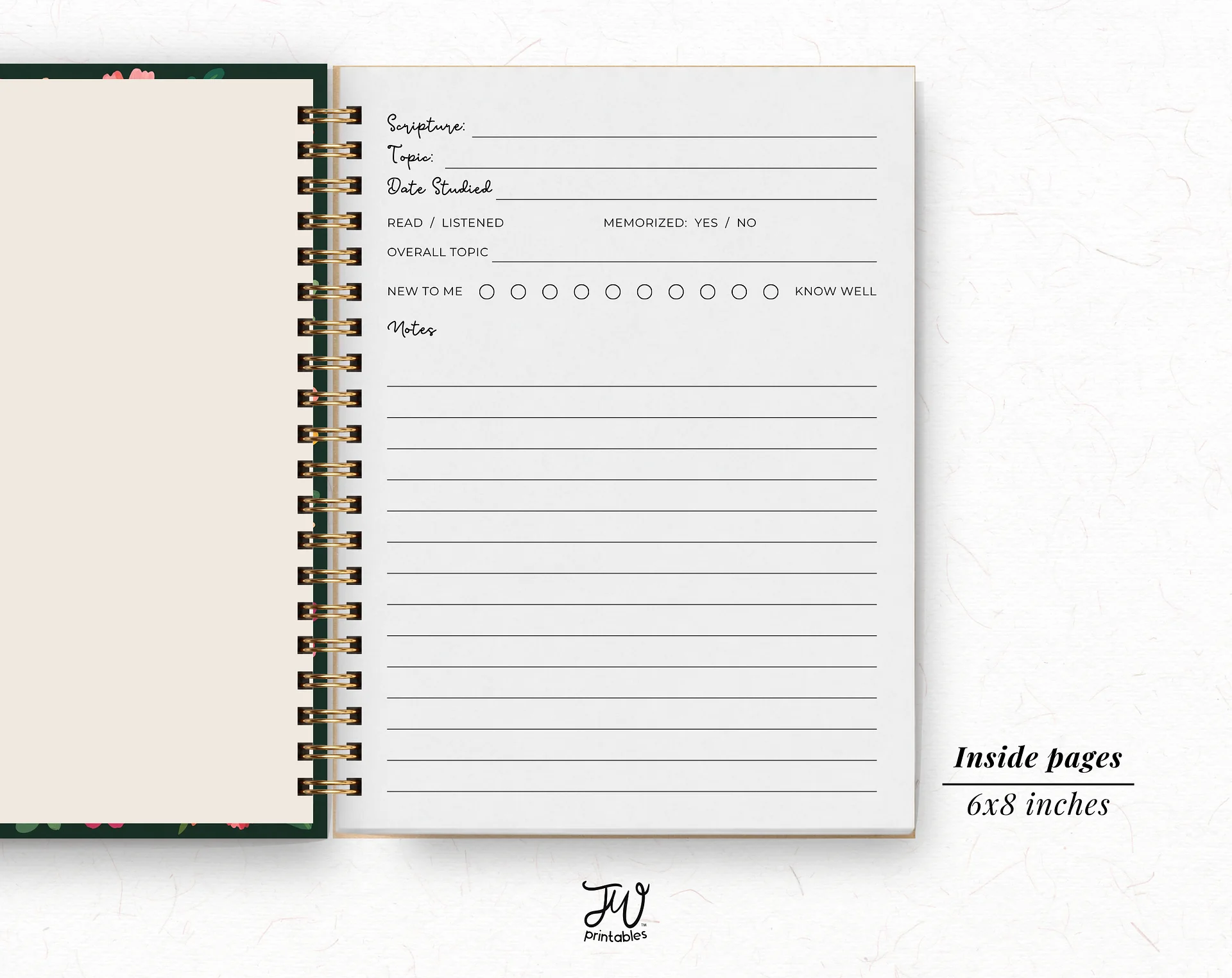 100 Treasured Scriptures Prompted Journal product image (2)