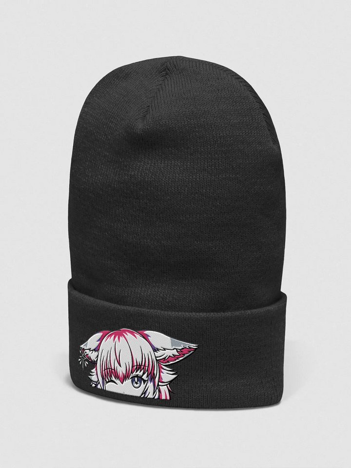 EMBROIDERED beanie product image (2)