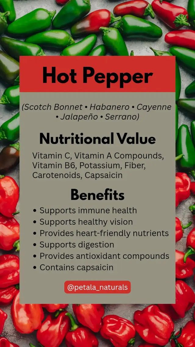 Some Like It Hot! - Benefits of Hot Pepper  That little pepper sitting in your kitchen can bring more to the table than just heat.  Hot peppers are part of the Capsicum family and come in many varieties. Some you may already know and use regularly include: Scotch Bonnet - a good source of vitamin C and carotenoids, with plenty of capsaicin to give it that familiar Jamaican kick. Habanero - rich in vitamin C and carotenoid compounds, including pigments associated with its bright orange, red or yellow colour. It also contains substantial amounts of capsaicinoids. Cayenne - provides vitamin C, vitamin A-related carotenoids and other plant compounds, along with capsaicin. Jalapeño - provides vitamin C, vitamin A-related compounds and capsaicin, although generally with less heat than Scotch Bonnet or Habanero. Thai chili - small but packed with capsaicinoids, along with vitamins and antioxidant plant compounds. Hot peppers can add more than flavour and heat to a meal. They can contribute vitamins, minerals, carotenoids and other plant compounds to an overall varied diet. Capsaicin, one of the main compounds, is responsible for the fiery sensation in hot peppers. The amount can vary considerably from one variety to another, which is why a Scotch Bonnet can feel very different from a jalapeño or cayenne. Research has found substantial differences in capsaicinoid levels among pepper varieties.