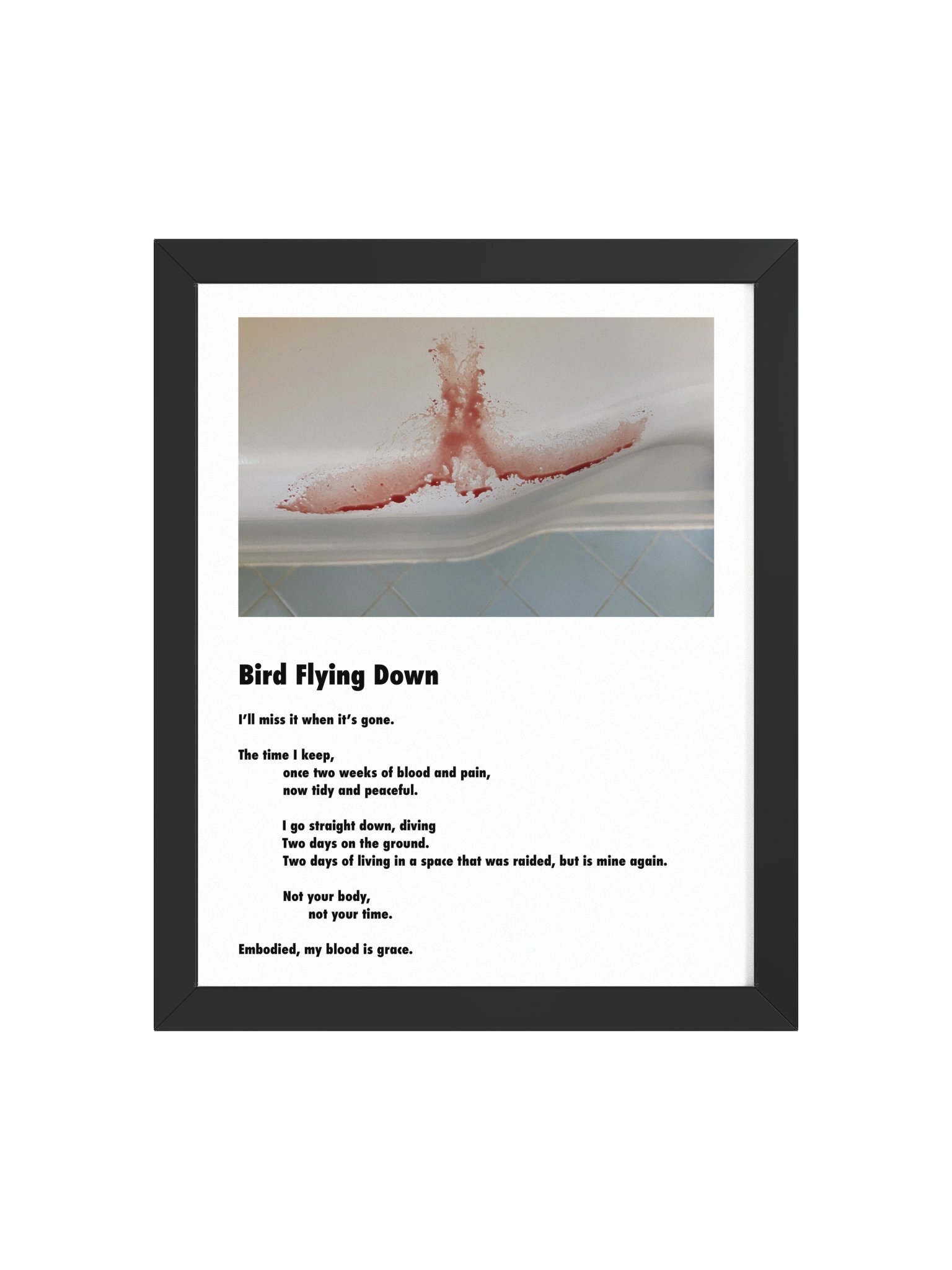 Bird Flying Down, Framed Poster product image (1)
