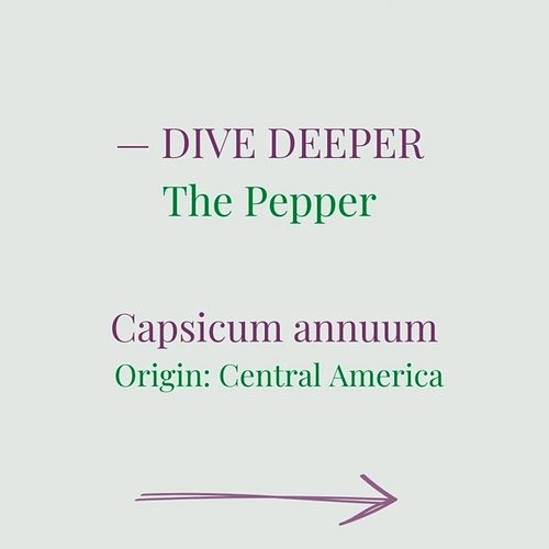 Dive deeper: The Pepper