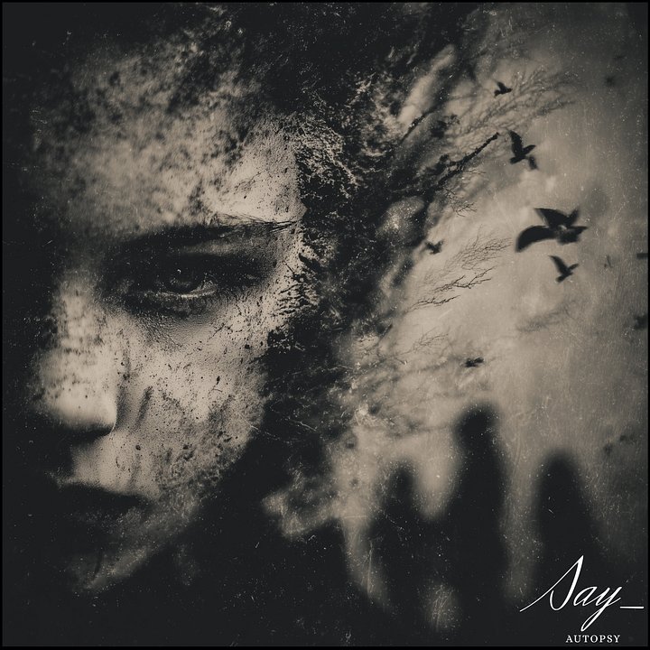 AutoPsy product image (1)