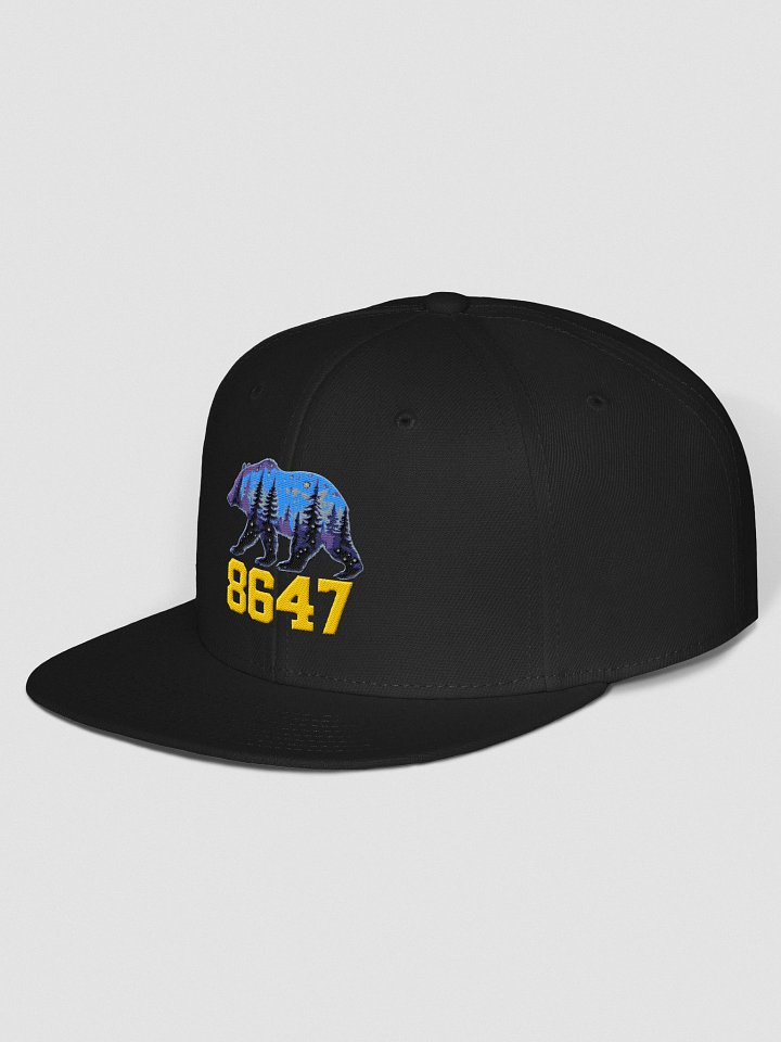 California Bear 8647 Hat product image (5)