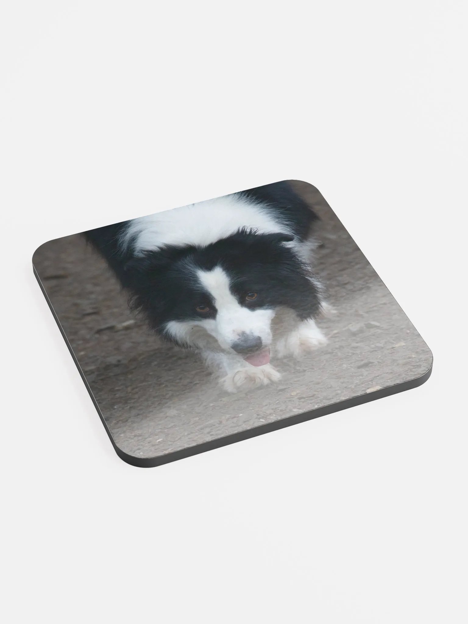 Dog running Coaster product image (2)