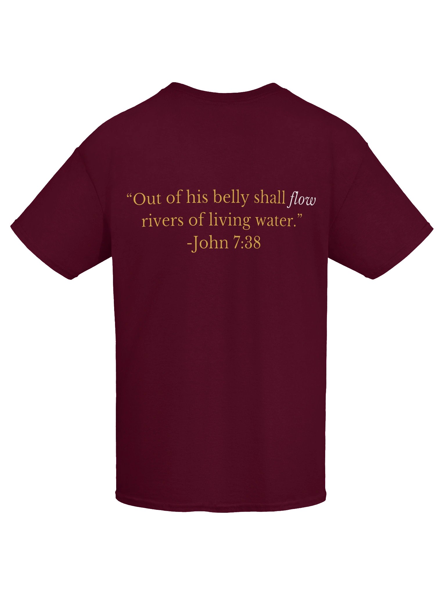 FLOW Worship (verse) tee product image (7)