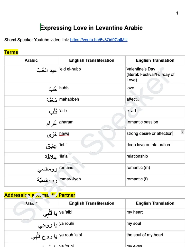 Love Words and Phrases in Levantine Arabic product image (2)
