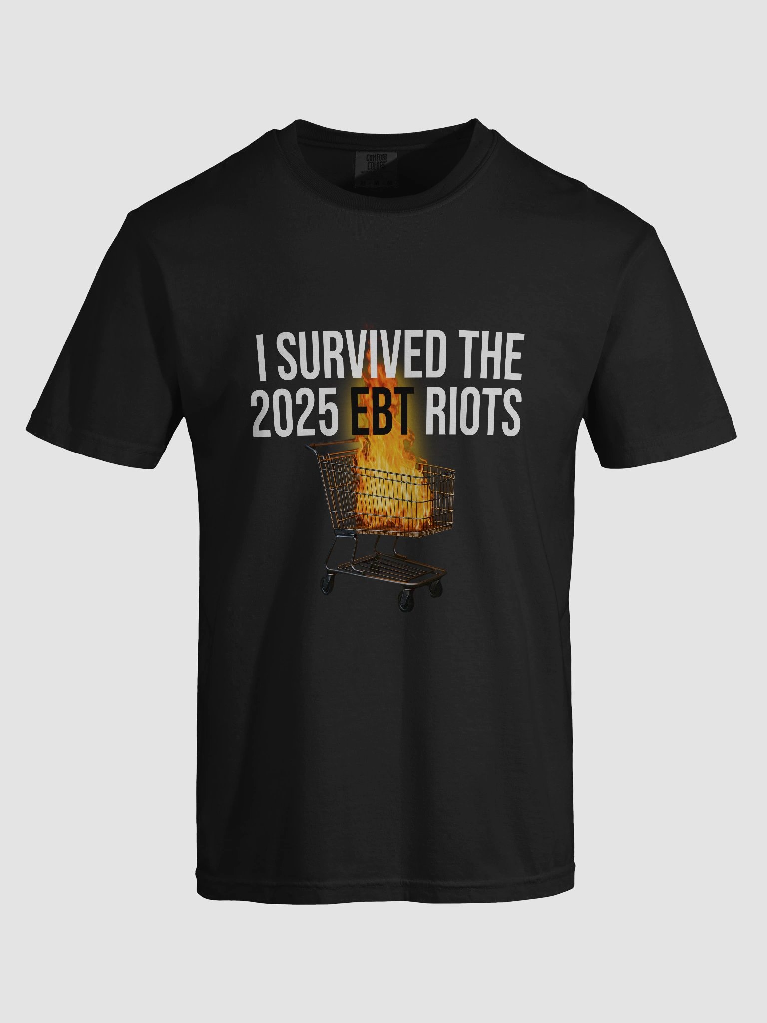 I Survived The 2025 EBT Riots product image (7)