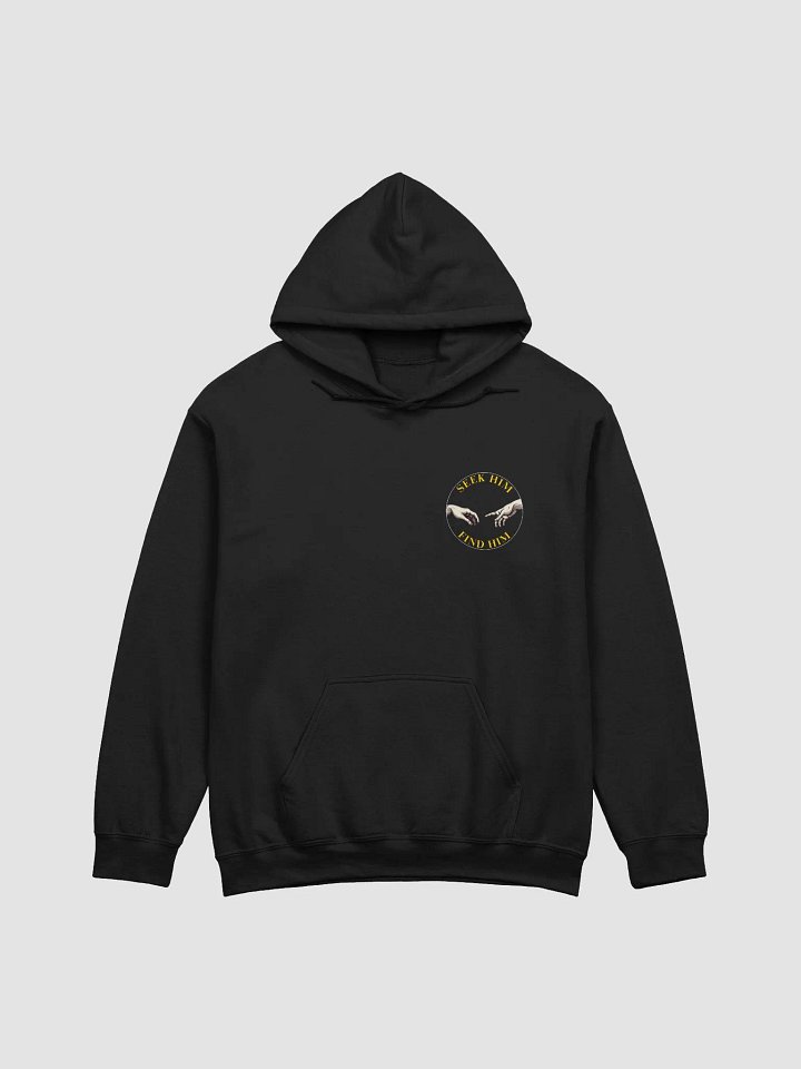 Seek Him, Find Him Hoodie product image (1)