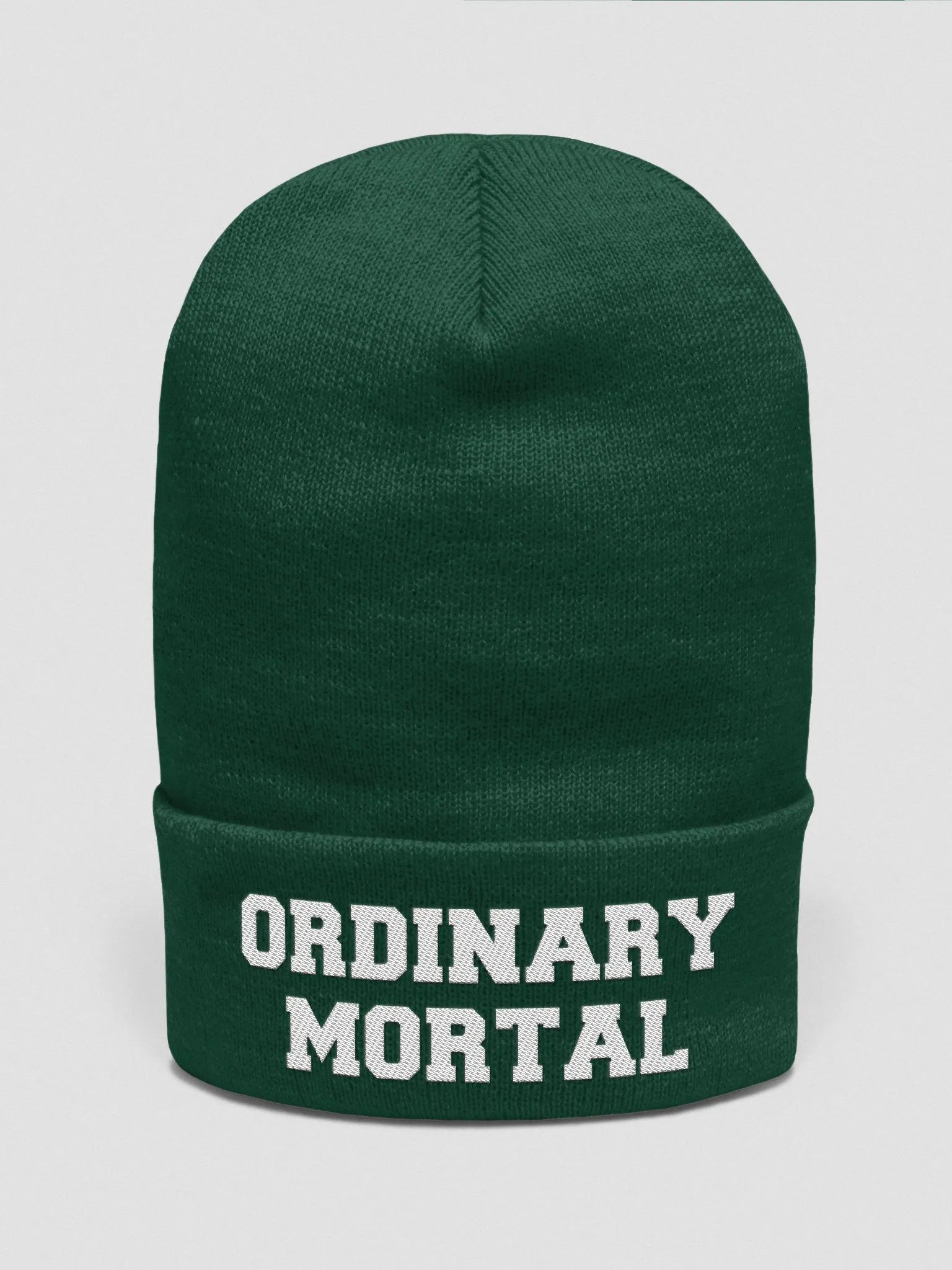Ordinary Human embroidered beanie product image (2)