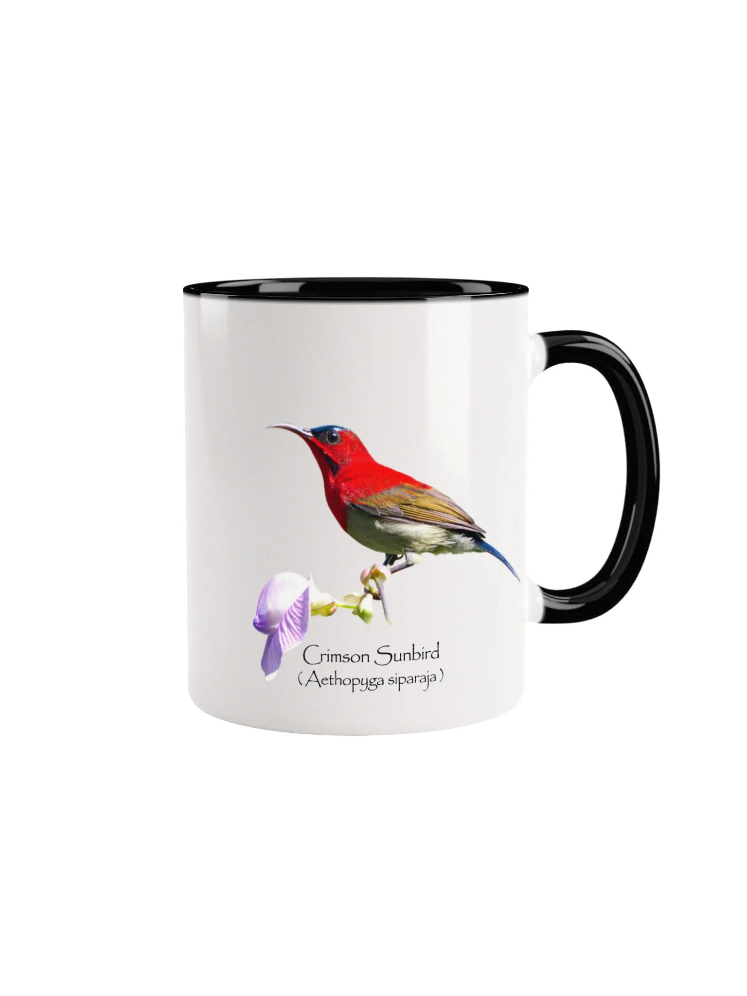 Crimson Sunbird mug product image (3)