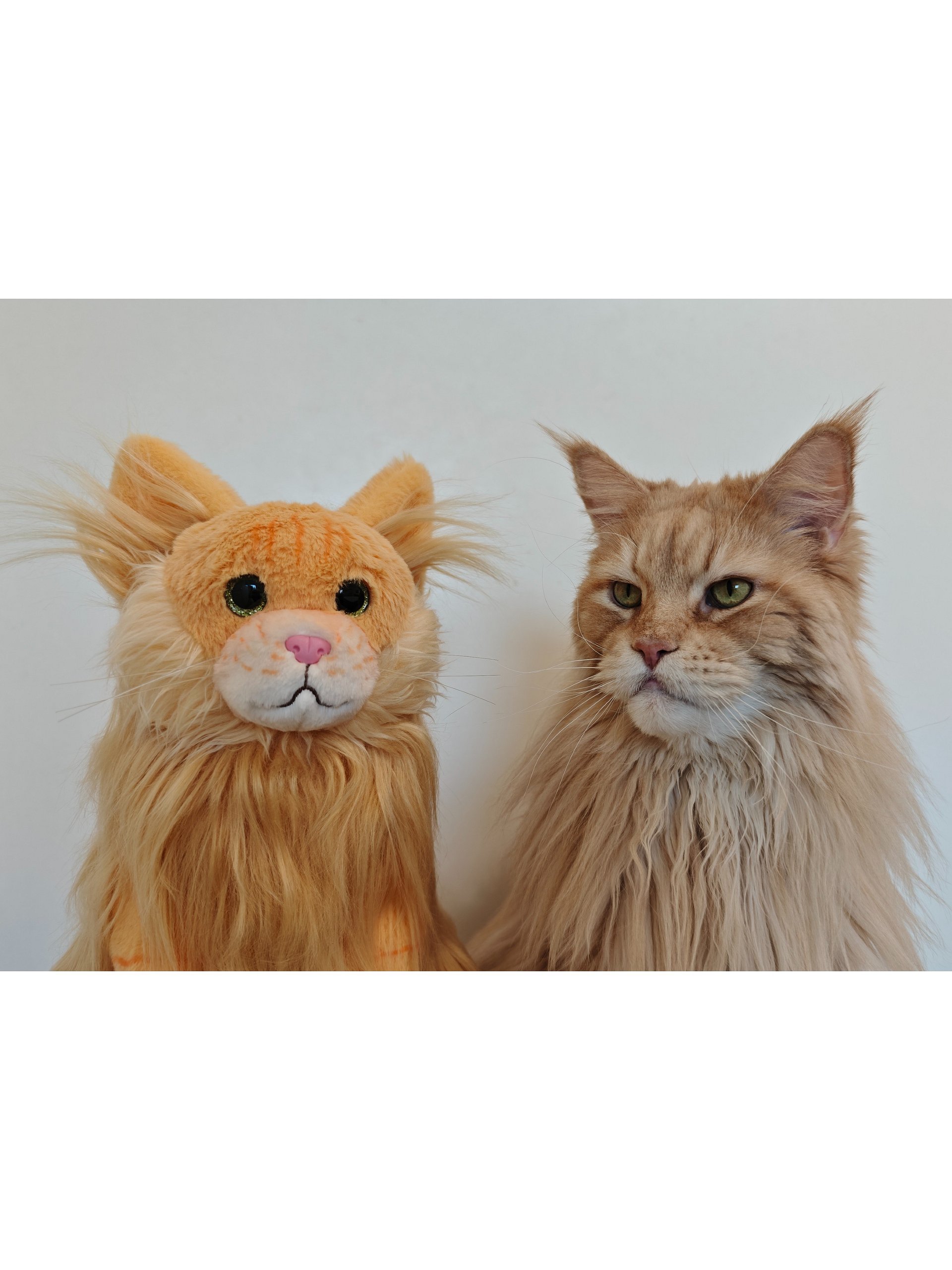 Buster Plushie - PRE ORDER product image (9)