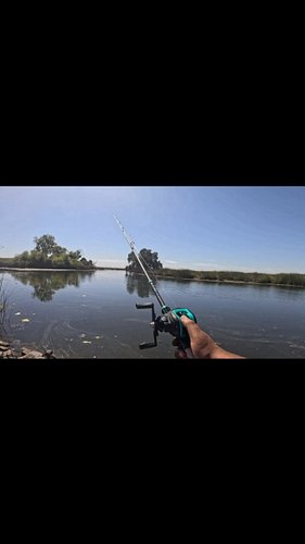 My first ever fish of this species! #fyp #fishing #outdoors #sanjoaquinriver #fishingwithlumii