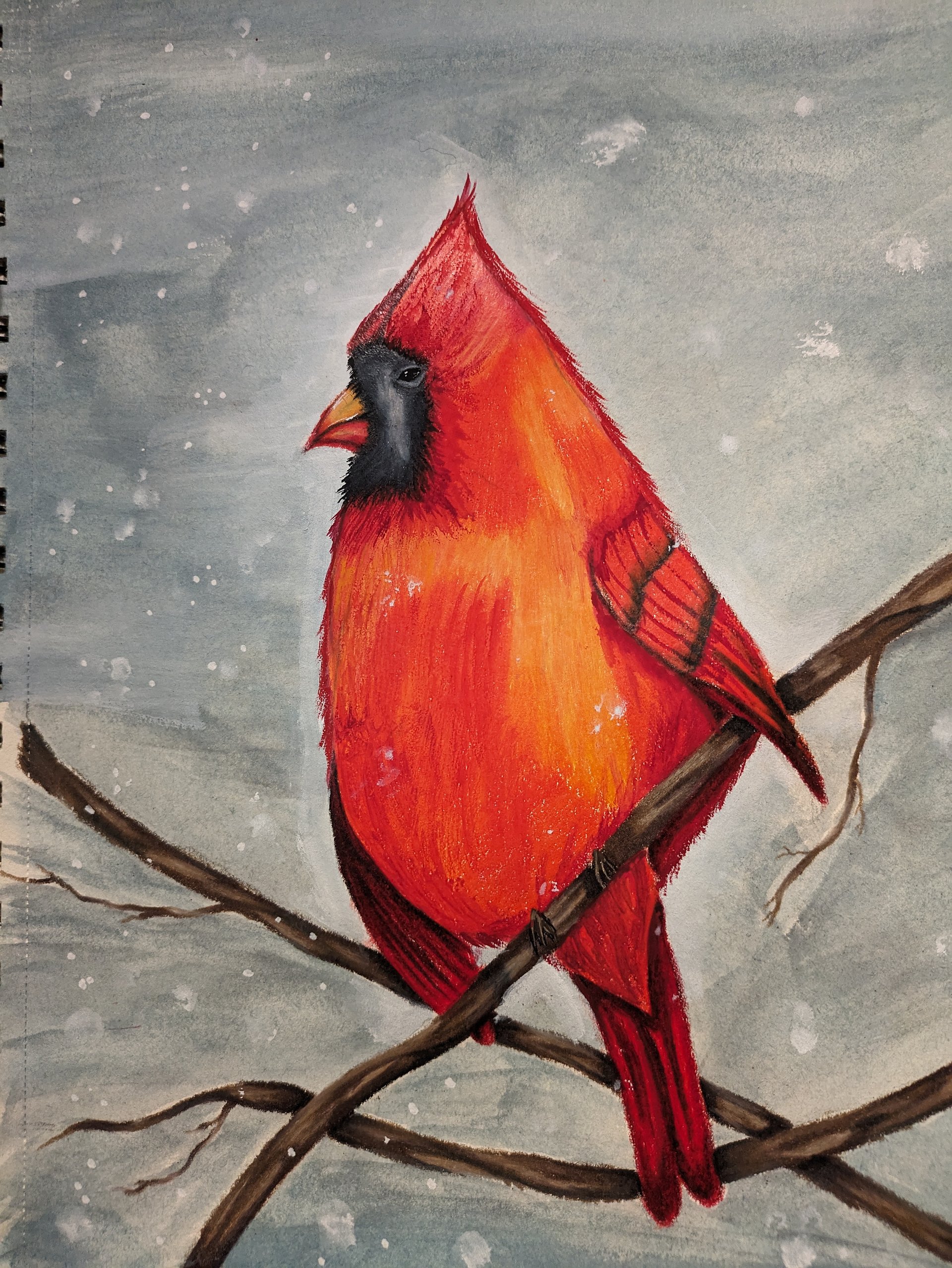 Cardinal Original product image (1)