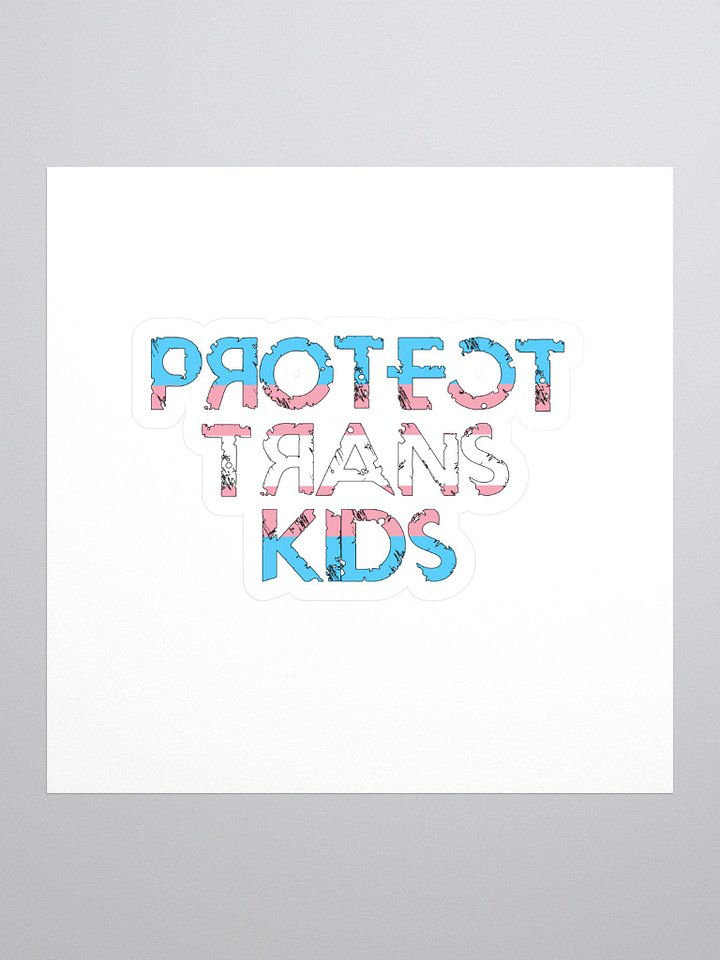 Protect Trans Kids product image (1)