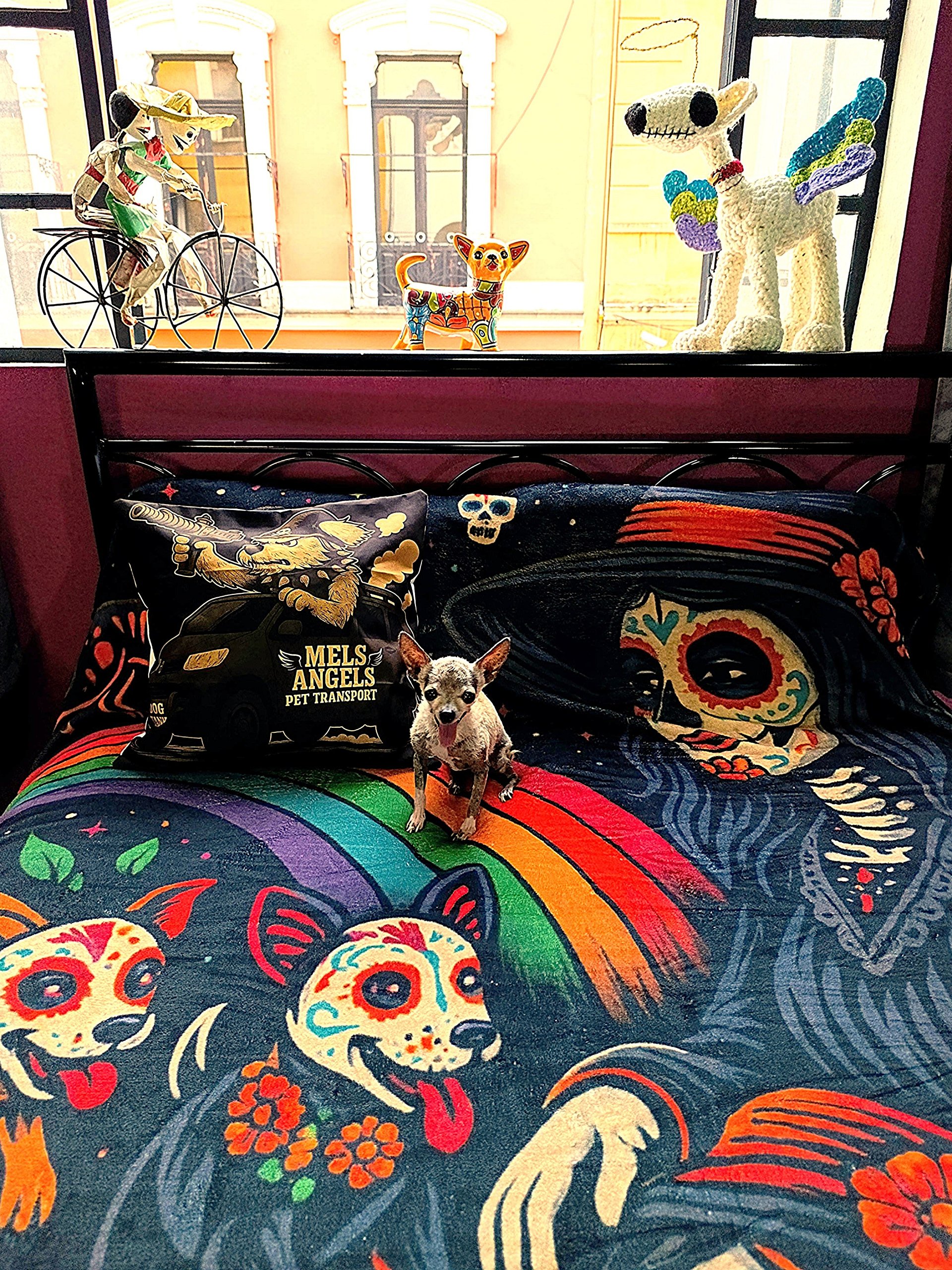Love Never Dies – Day of the Dead Dog Blanket | Calavera Pet Art Throw product image (2)