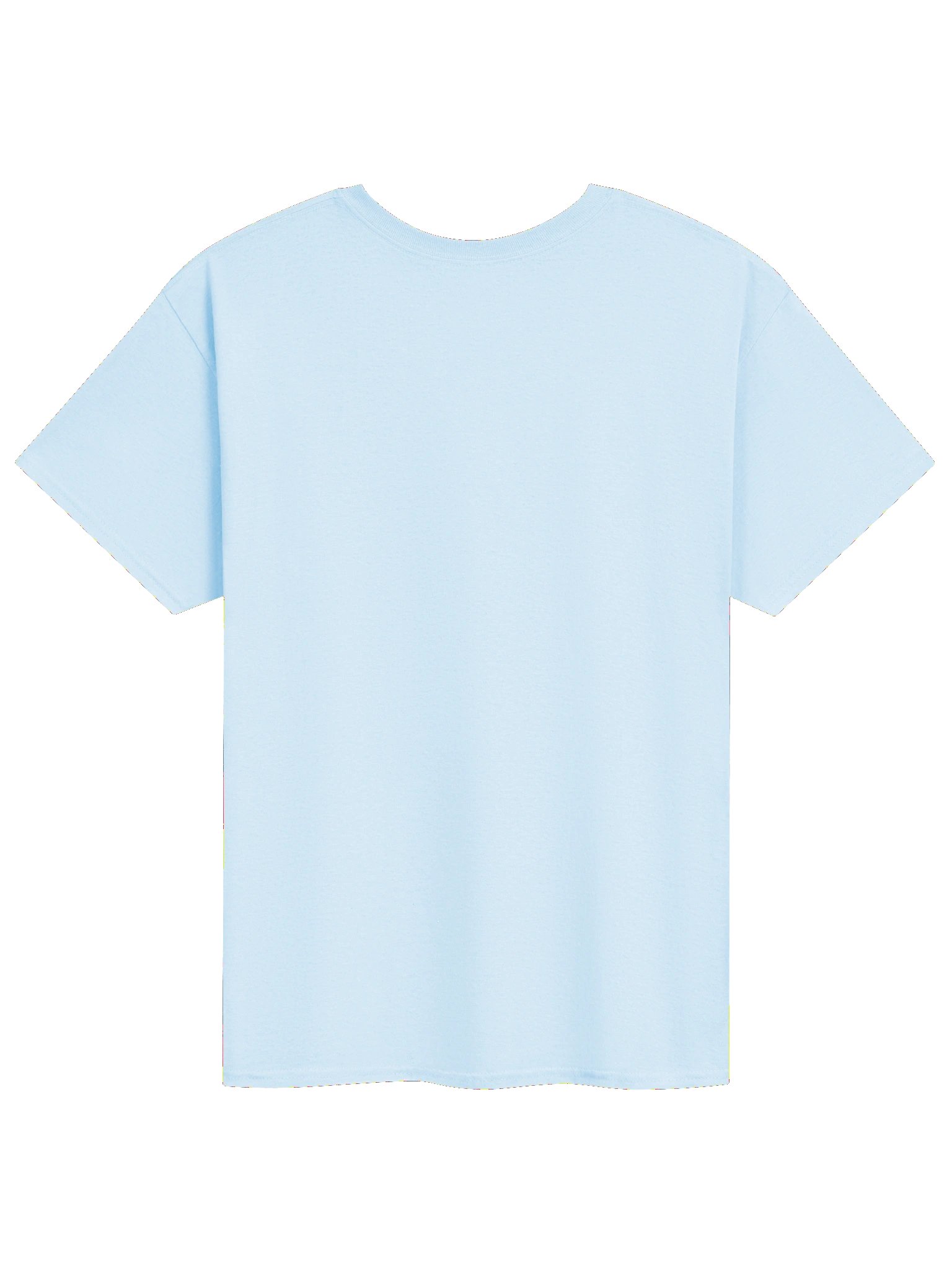 CaribbeanApples - Saltfish | Heavyweight T-Shirt | 9 Colors product image (2)