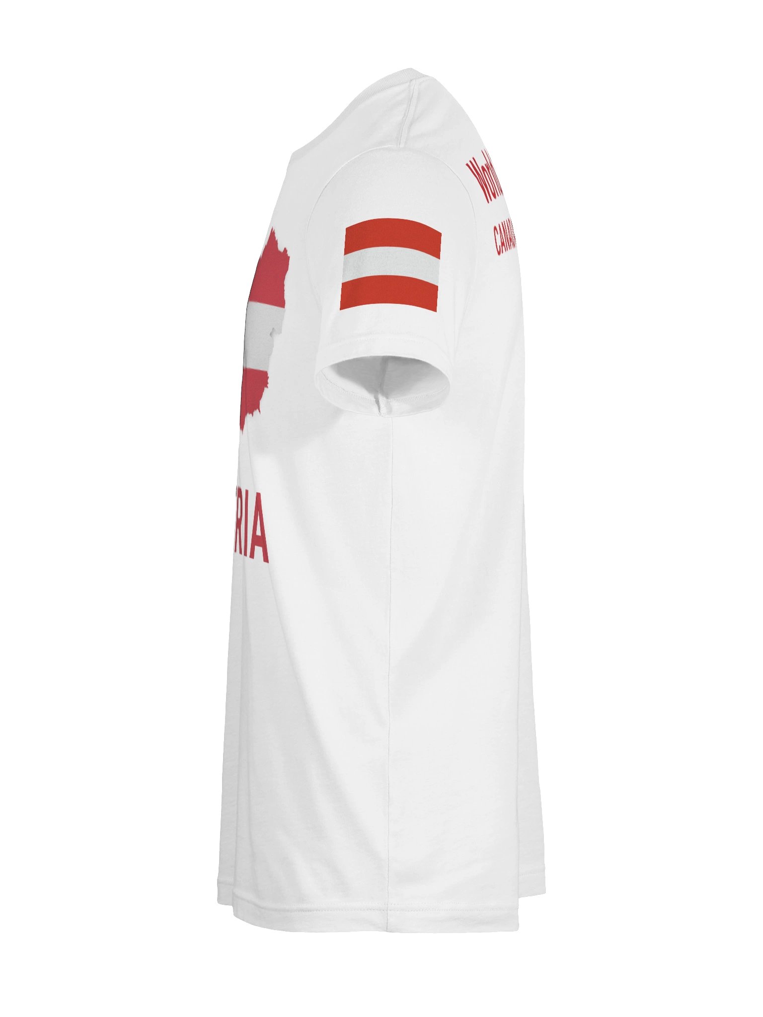Austria 2026 World Cup Flag Tee - Premium Unisex T-Shirt product image (65)