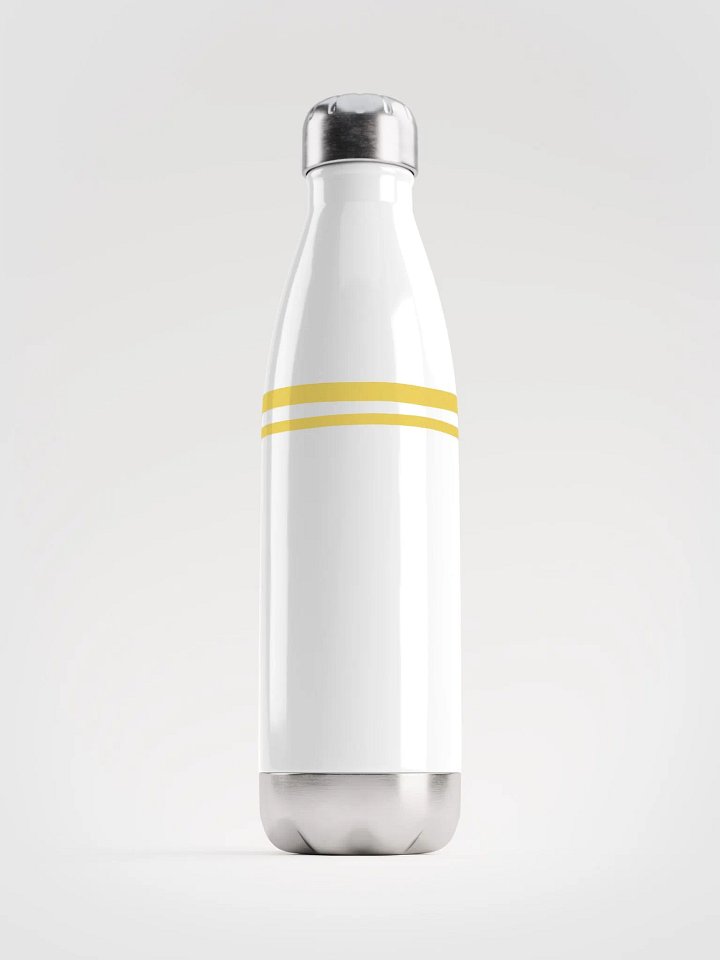 Stainless Steel Water Bottle product image (1)