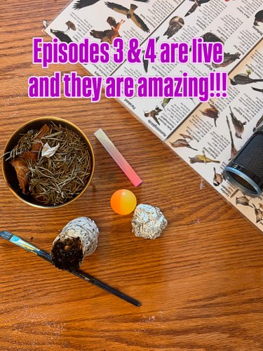 Link to listen to episodes 3 and 4 in the bio. You don’t want to miss this stuff!!!! These readings just keep getting better ...