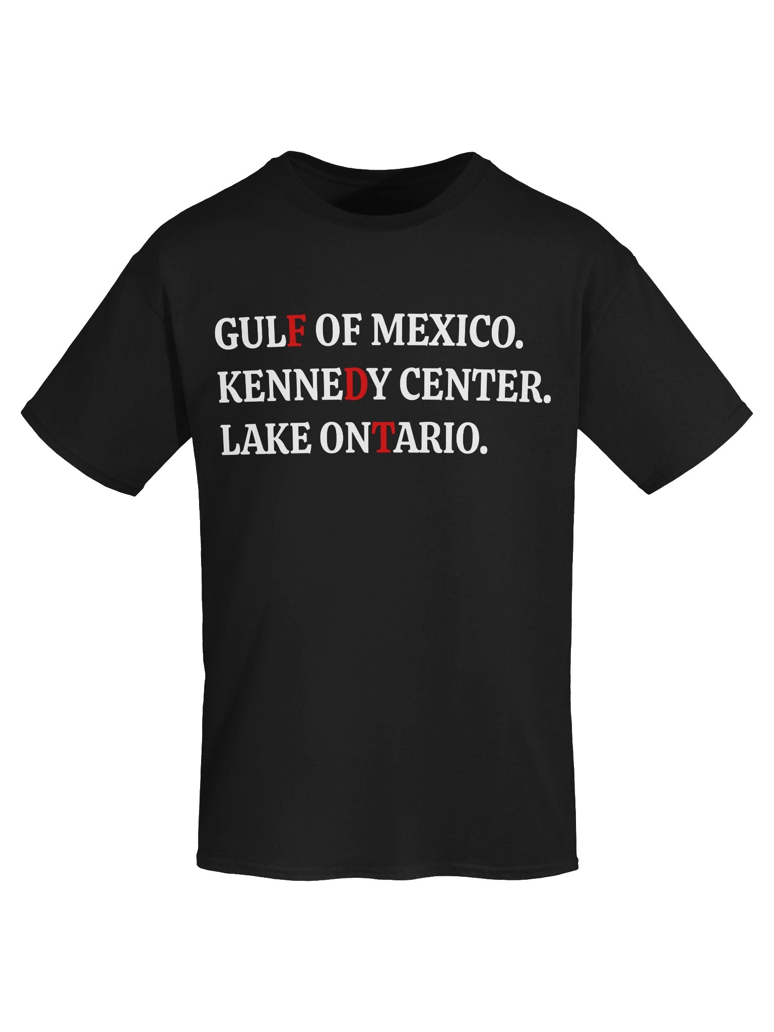 FDT Lake Ontario Kennedy Center Shirt product image (45)