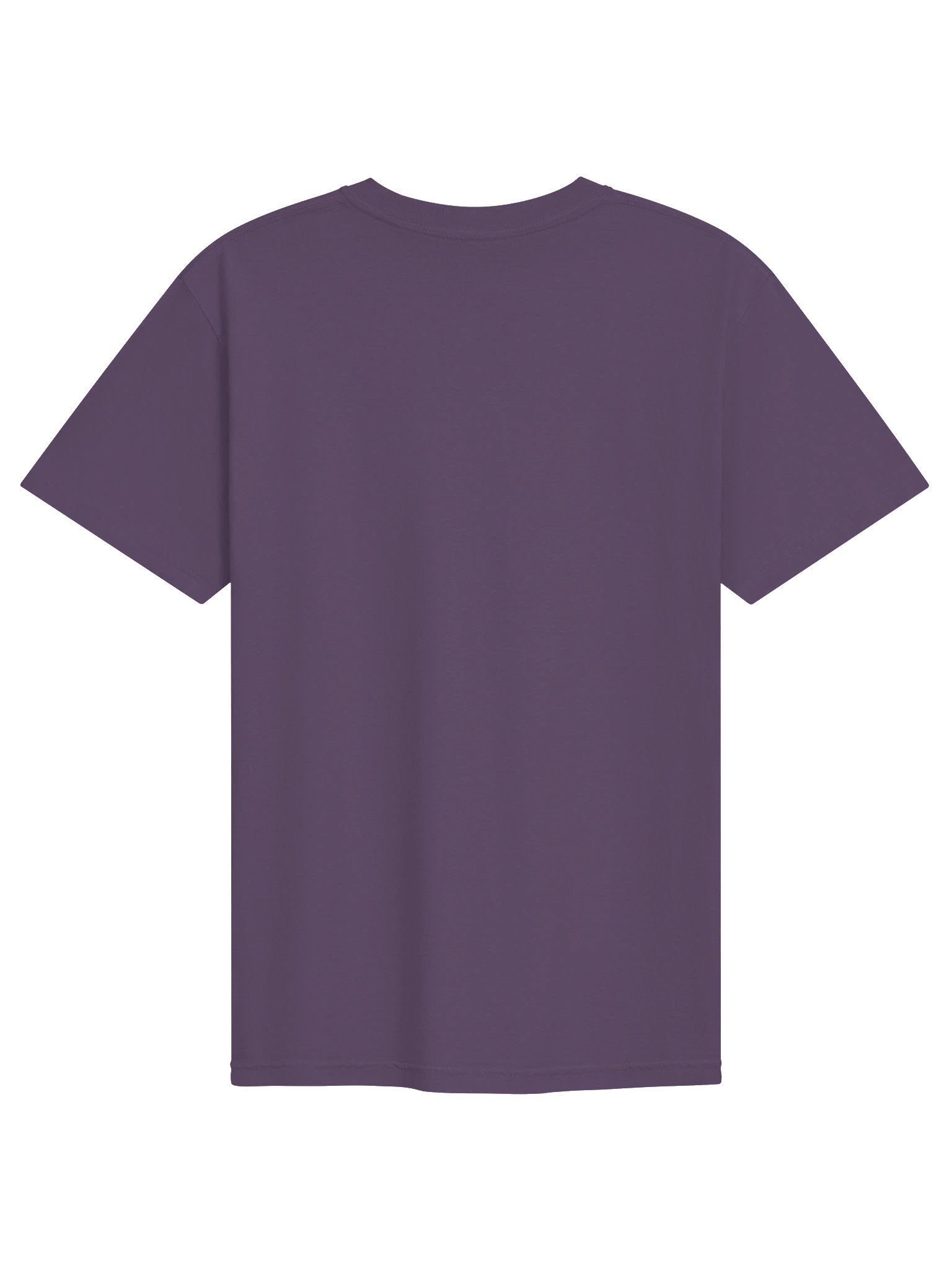 Dragn-Tshirt product image (2)