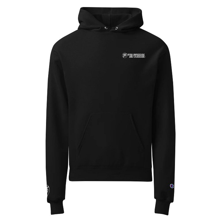 TSP - Embroidered Hoodie product image (1)