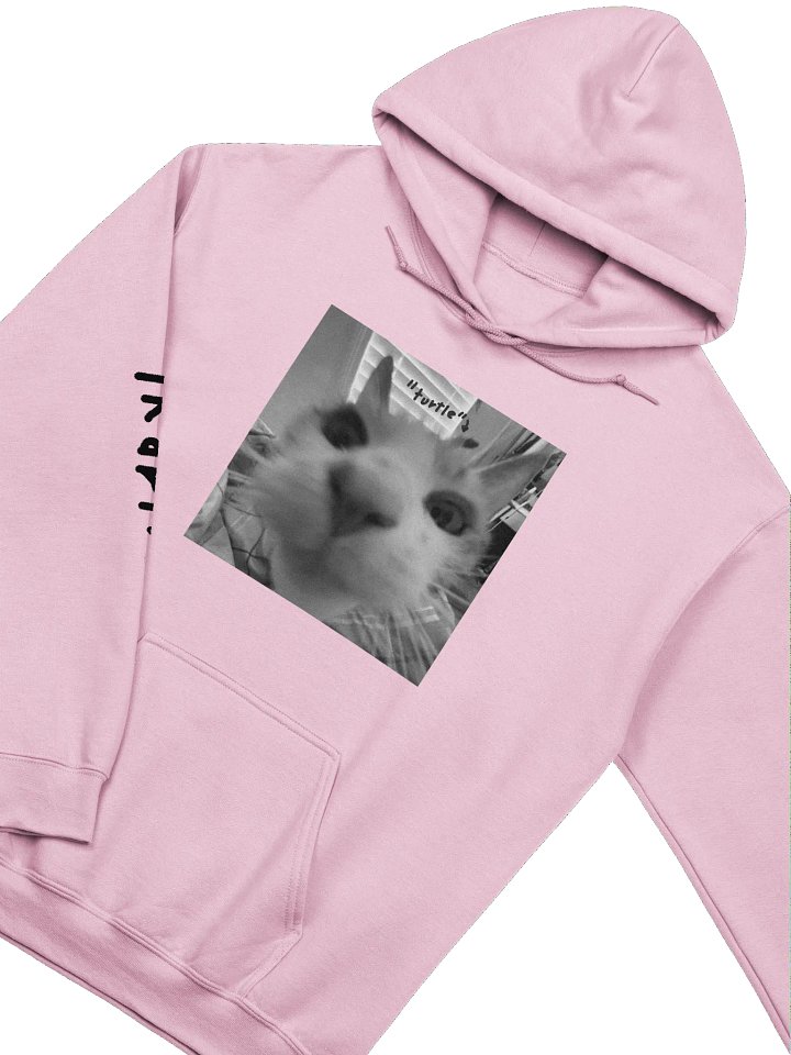 turtle — pastel hoodie product image (2)