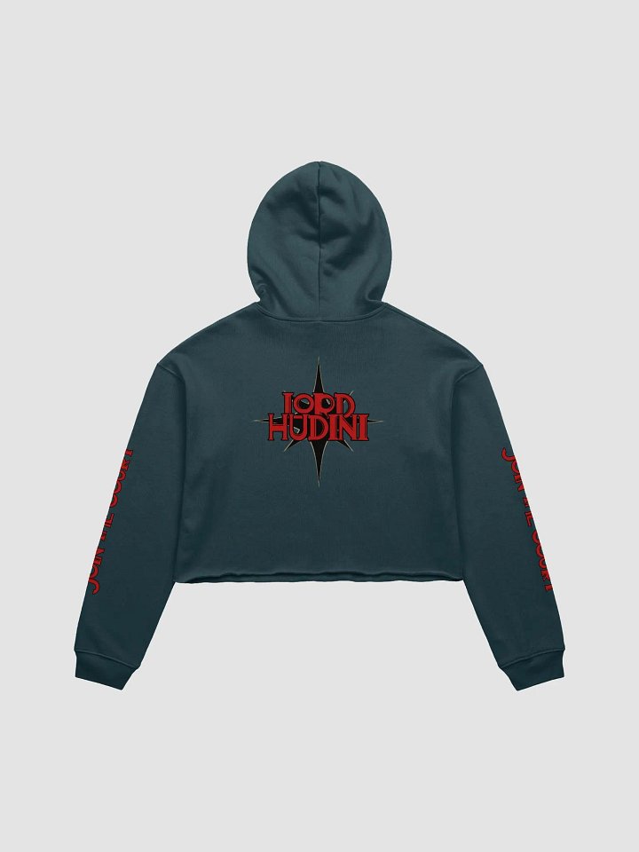 Join the Court Crop Hoodie product image (2)
