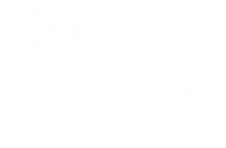 VALHALLA SOULS