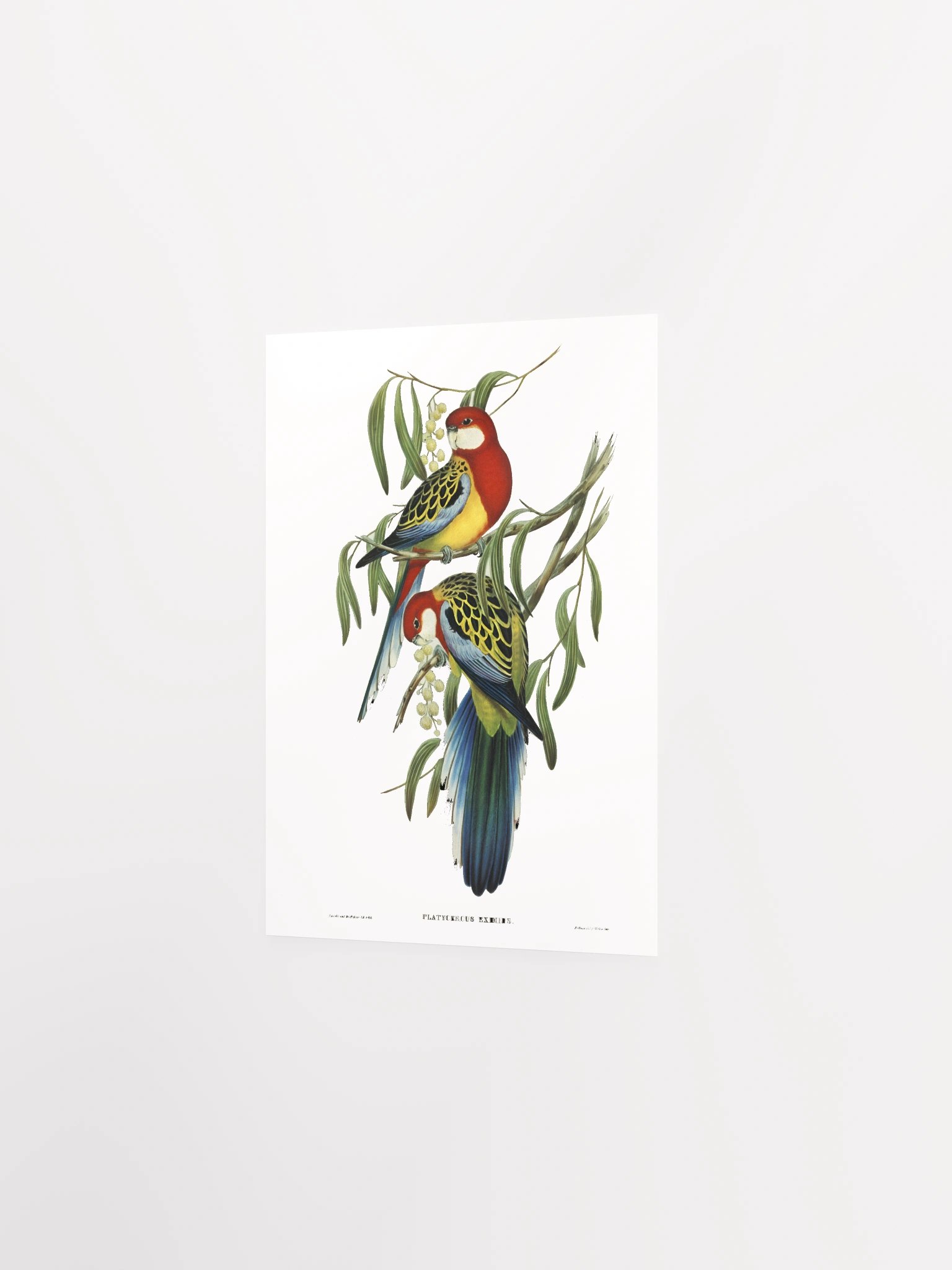 Vibrant Avian Oasis Poster product image (12)