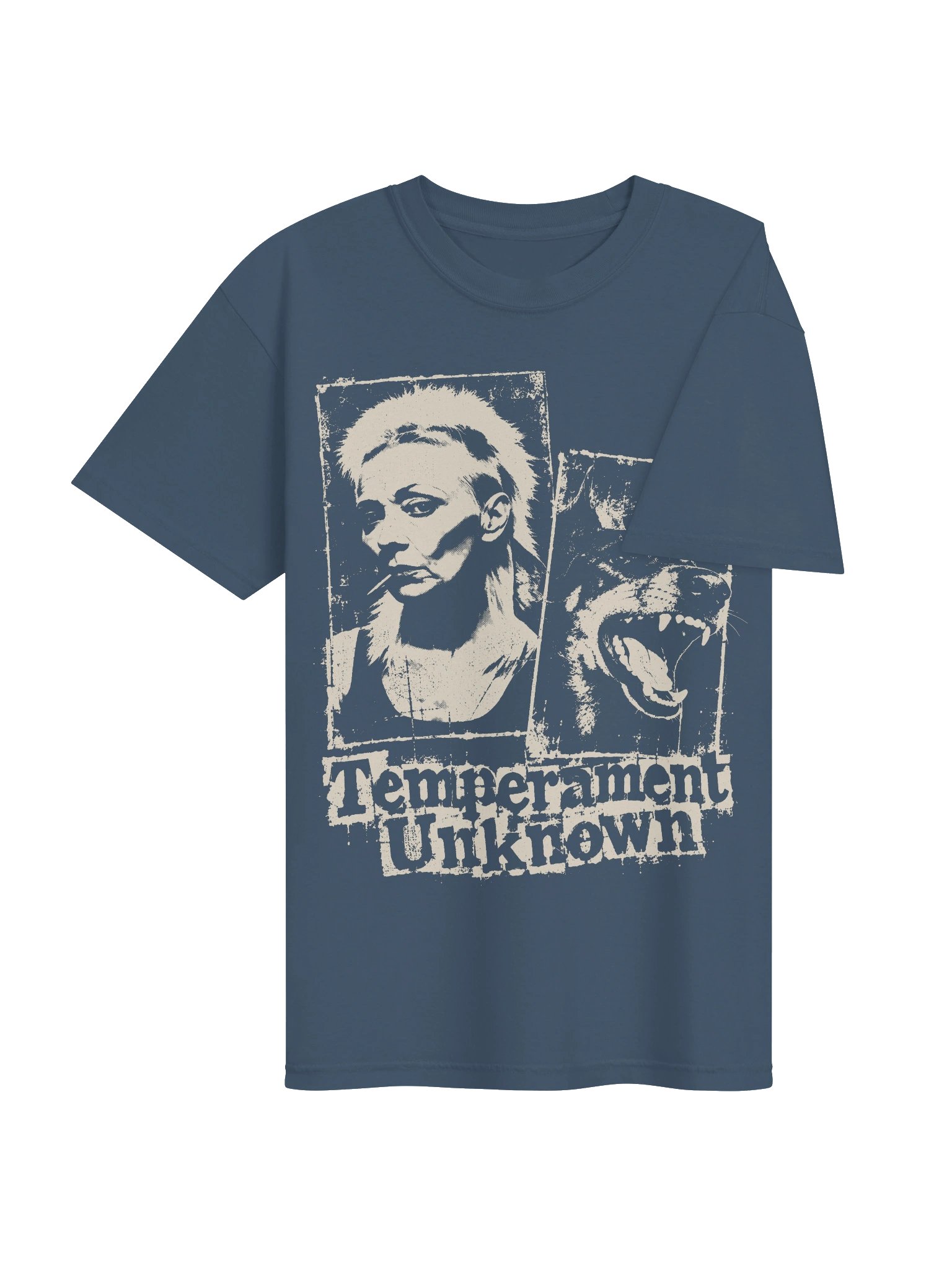 Temperament Unknown Heavyweight Vintage Graphic Tee product image (4)