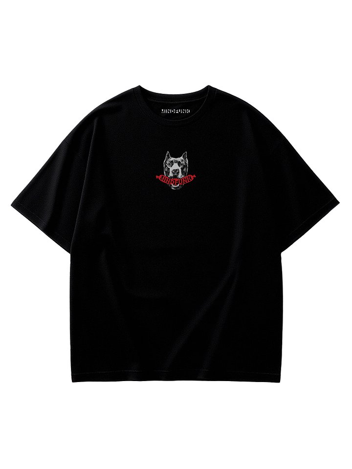 CONTROL, DISCIPLINE & FUNK product image (2)