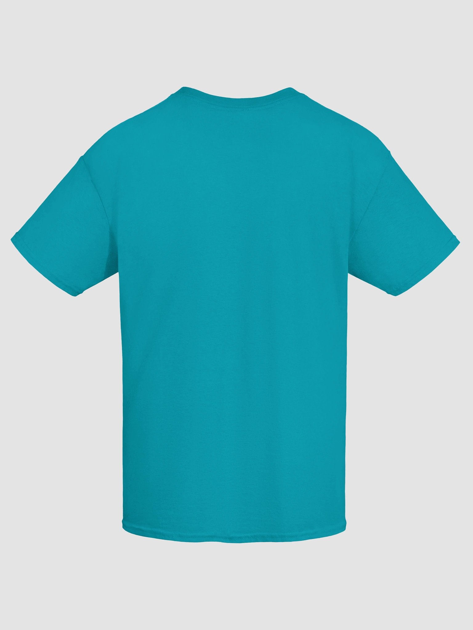 All I want are snuggles but all I get are struggles raccoon T-shirt product image (8)